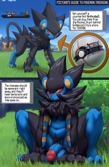 Picturd Pokemon Collection cover