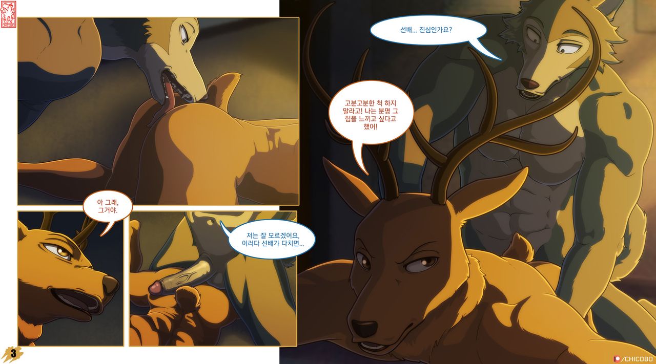 Louis x Legoshi – BEASTARS dj | 루이 X 레고시 page 3 full