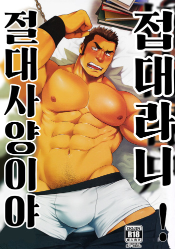 Settai nante Zettai iya! cover