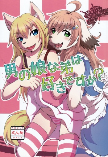 Otokonoko na Otouto wa Suki desu ka? cover