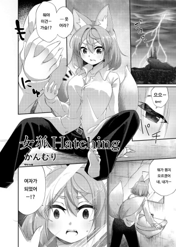 Megitune Hatching | 암컷 여우 Hatching cover