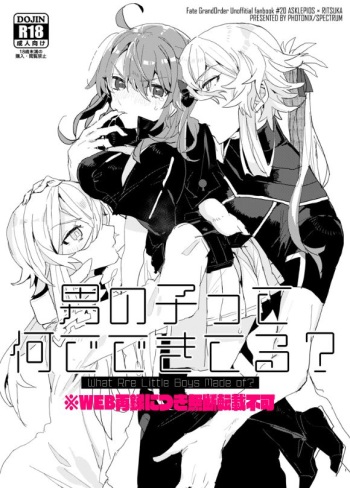 Otokonoko Ttenani de Deki Teru? cover