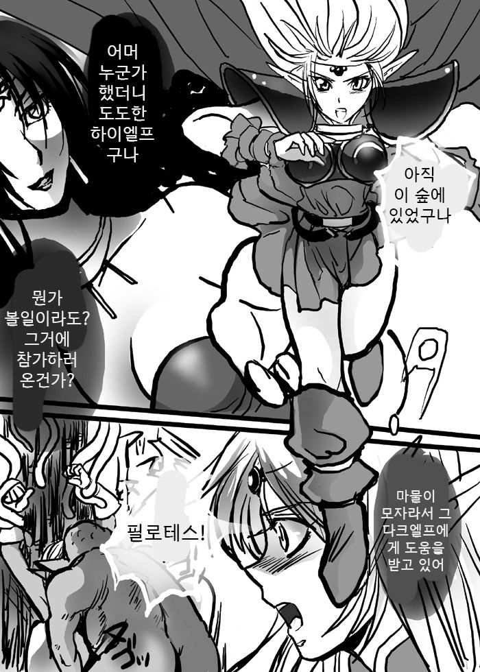 Ashy Elf - Record Of Lodoss War | 재의 엘프 - 로도스도 전기 page 8 full