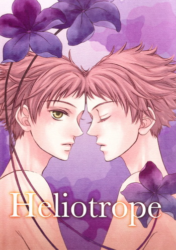 Heliotrope cover
