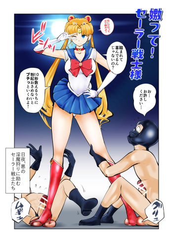 Nabutte! Sailor Senshi-sama cover