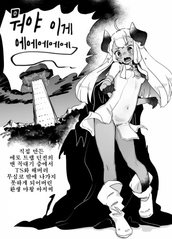Jibun de Tsukutta Ero Trap Dungeon no Saijoukai de TS-ka Shita Sei de Ukkari Soto ni Derenaku Natte Shimatta Isekai Tensei Maou Oji-san cover