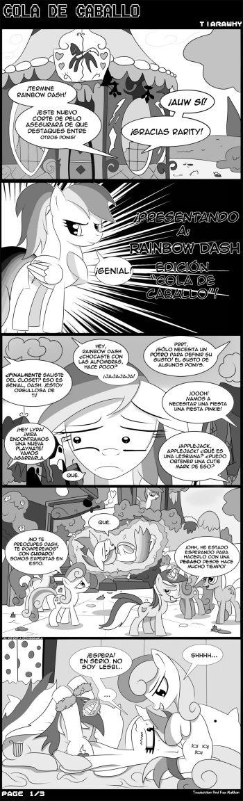 Rainbow dash Cola de Caballo cover