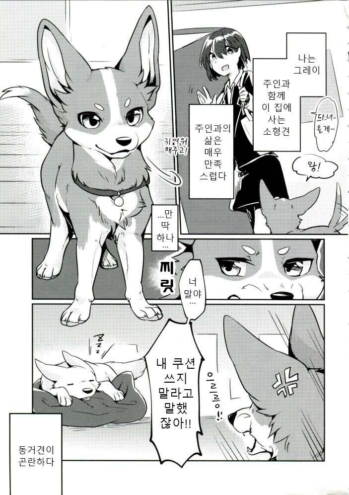 1DK, Bokura to.  | 1DK, 우리들과 page 4 full