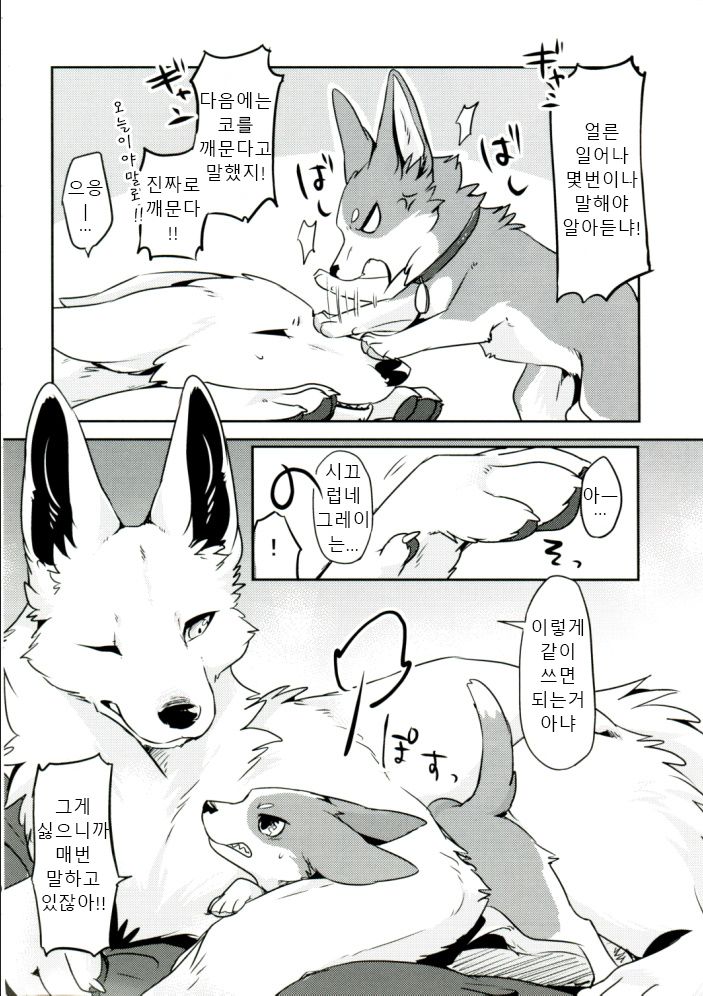 1DK, Bokura to.  | 1DK, 우리들과 page 5 full