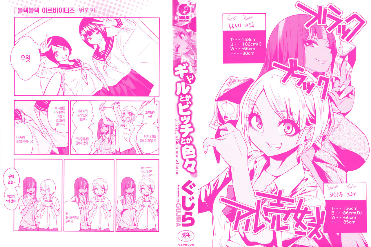Gal Toka Bitch Toka Iroiro | 갸루라던가 걸레라던가 가지각색 page 3 full