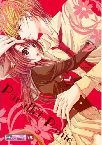 Parallel Panic cover