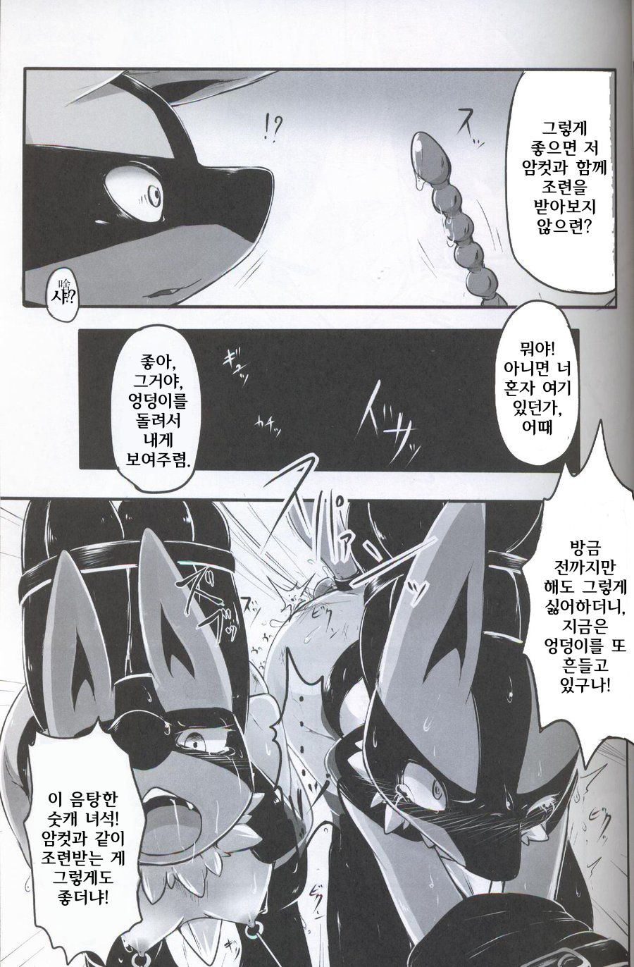 TRAiNER! page 8 full