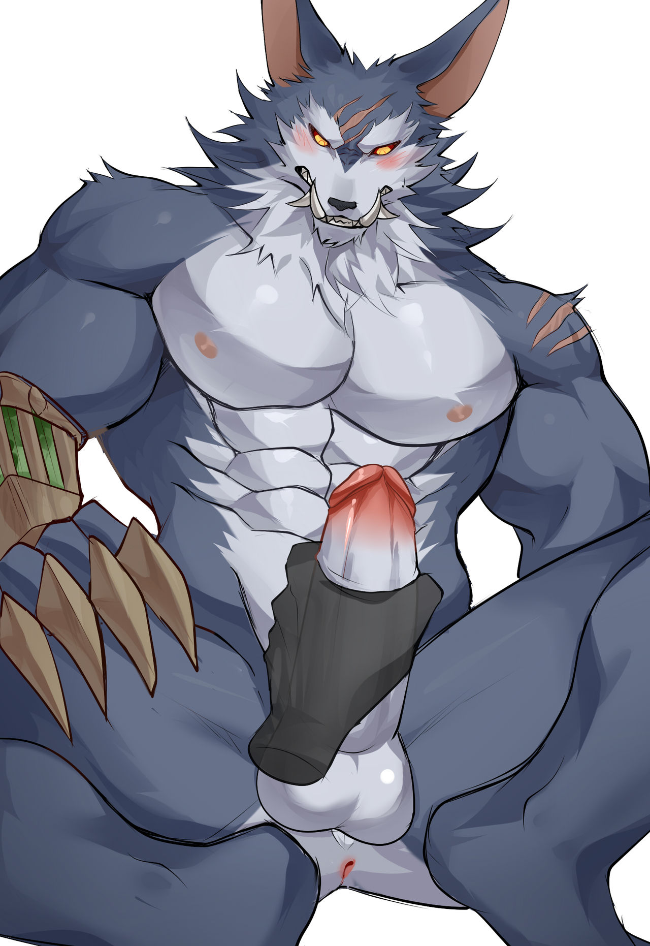 Warwick Pack page 5 full
