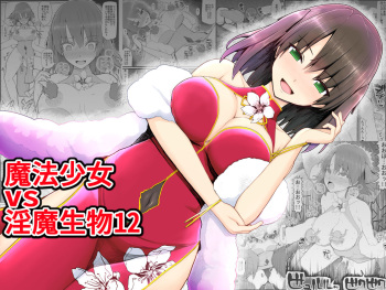 Mahou Shoujo VS Inma Seibutsu 12 cover