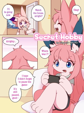 Secret Hobby cover