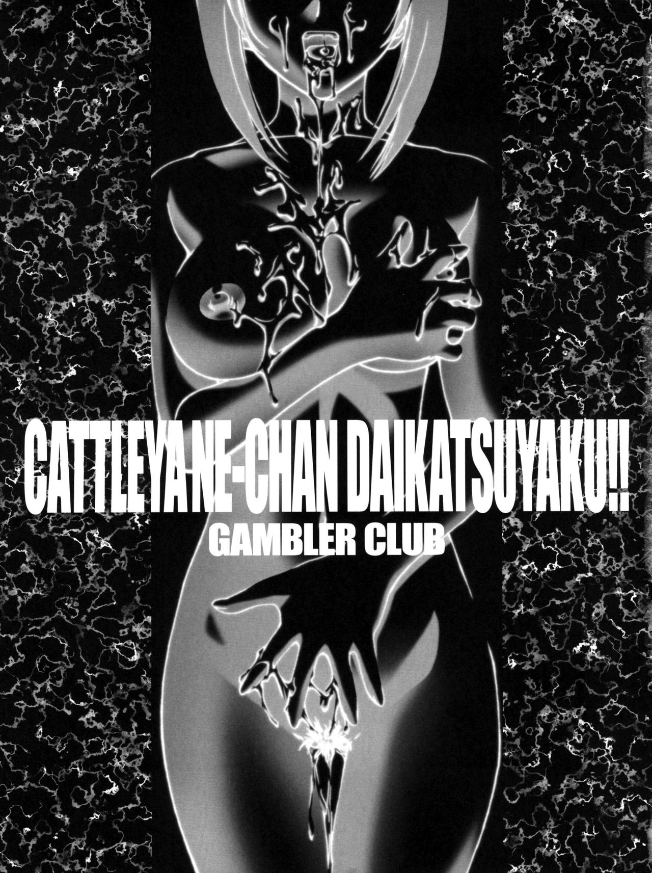 Cattleya Nee-chan Daikatsuyaku!! page 3 full