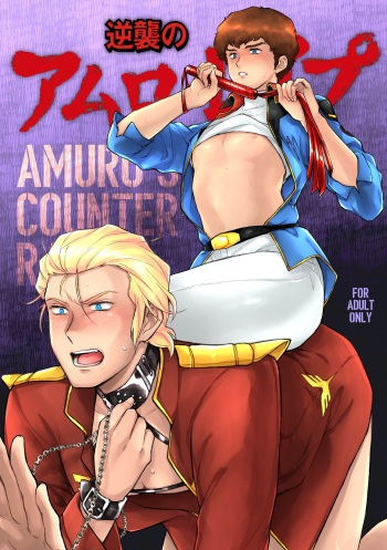 Amuro R○pe's Counterattack cover
