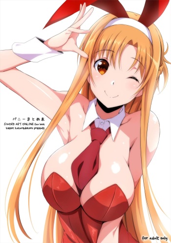Bunny Matome Hon cover
