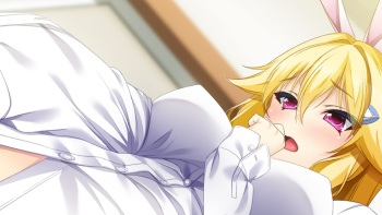 Iegami Complete Collection - all h-scene CG cover