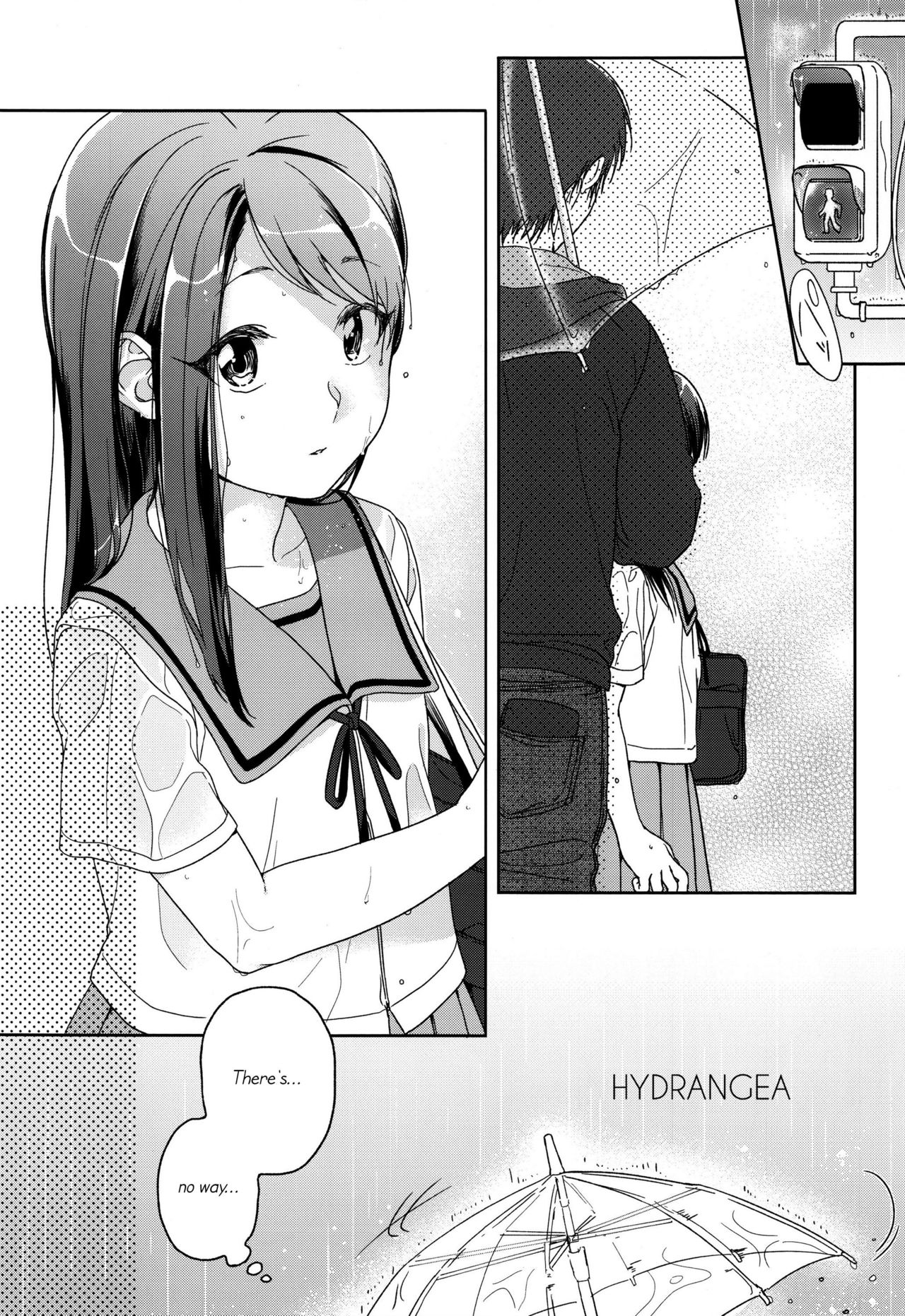 HYDRANGEA page 7 full
