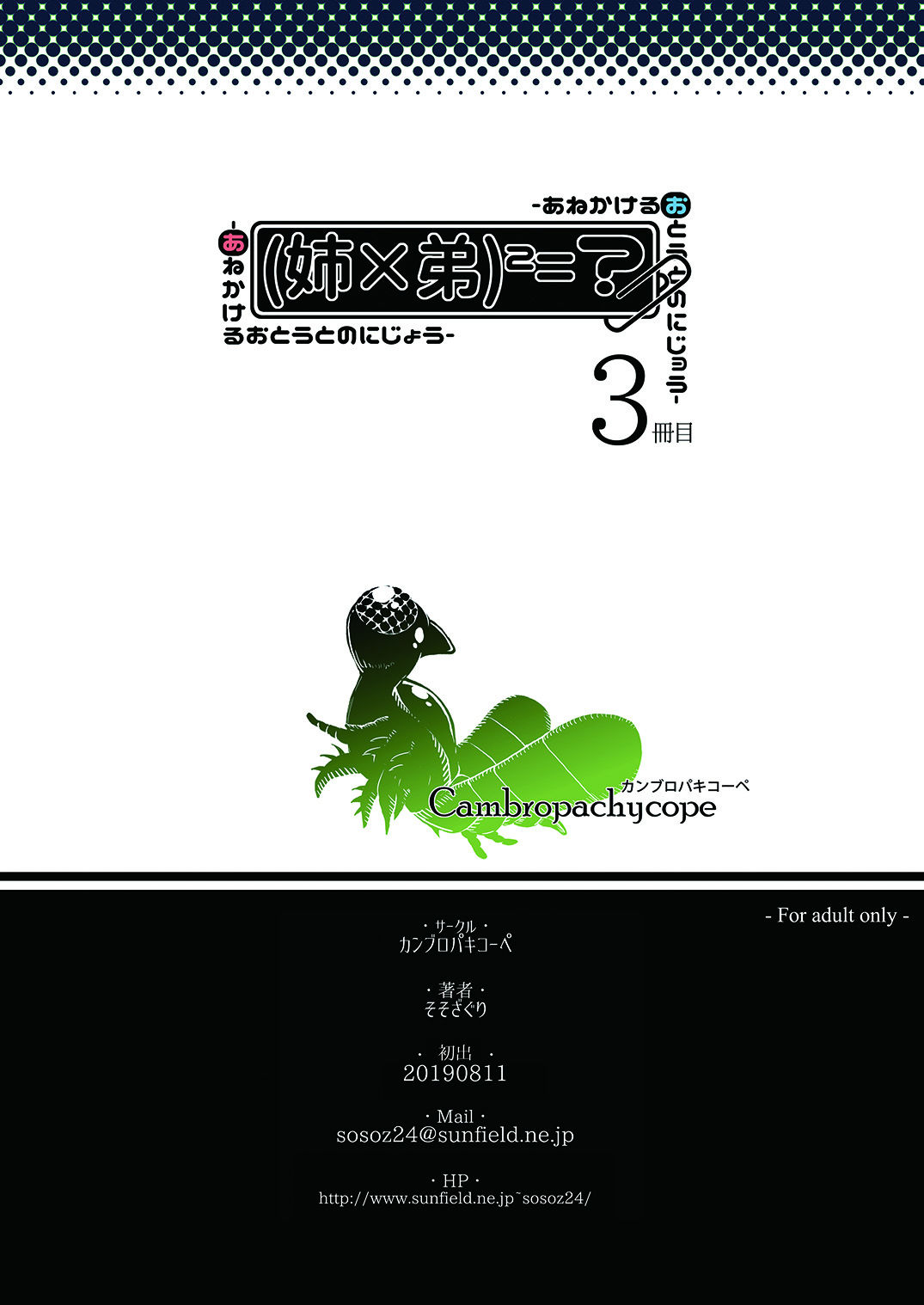 Ane × otōto no 2-jō 3 satsume page 2 full