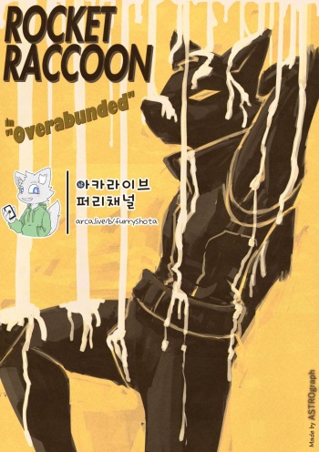 Rocket Raccoon in Overabunded cover