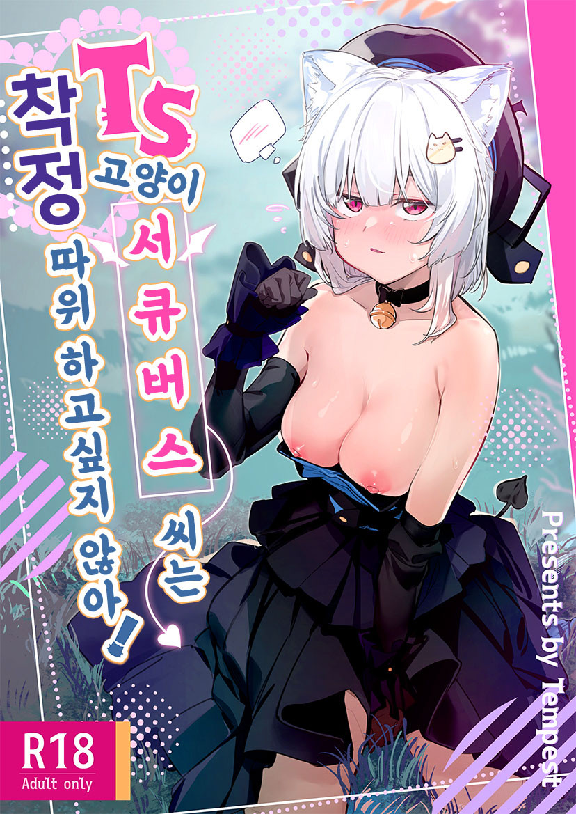 TS Neko Succubus-san wa Sakusei Nante Shitakunai! | TS 고양이 서큐버스 씨는 착정 따위하고싶지 않아! page 1 full