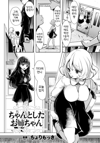 Chanto shita Onee-chan cover