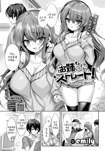 Onee-chan Straight! | 누나 스트레이트! cover
