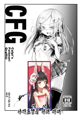 CFG Vol. 2 cover