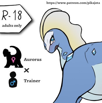 Aurorus/Trainer Set cover