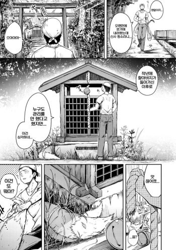 Oinari-san + Kami-sama dattara cover