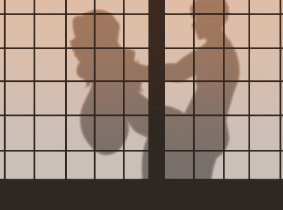 Shoji Animations page 3 full