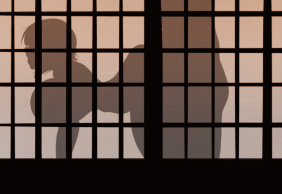 Shoji Animations page 6 full