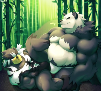 Urshifu &amp; Pangoro cover