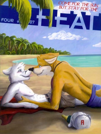 HEAT 4 cover