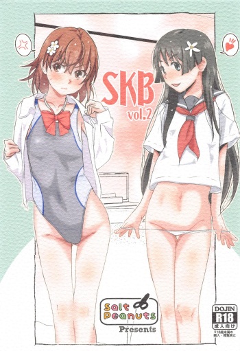 Salt Peanuts  SKB vol. 2 cover