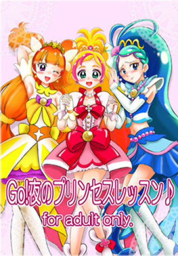 Go! Yoru no Princess Lesson cover