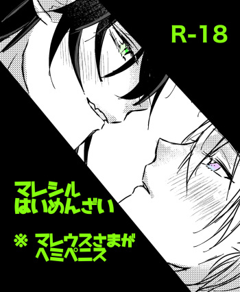 Mareshiru Hai Men Zai cover