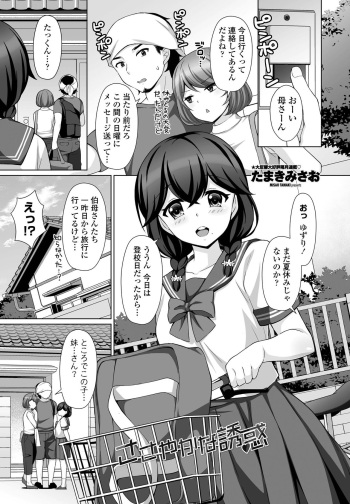 sasayakana yuuwaku cover