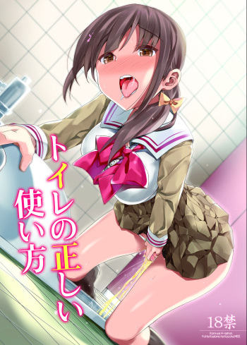Toilet no Tadashii Tsukaikata cover
