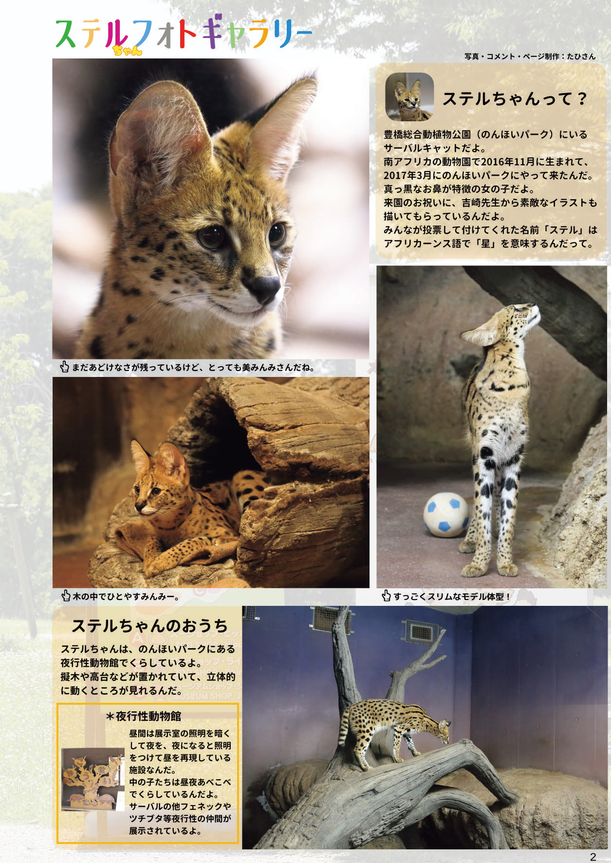 may Kemono Friends Thre Goudoushi page 4 full