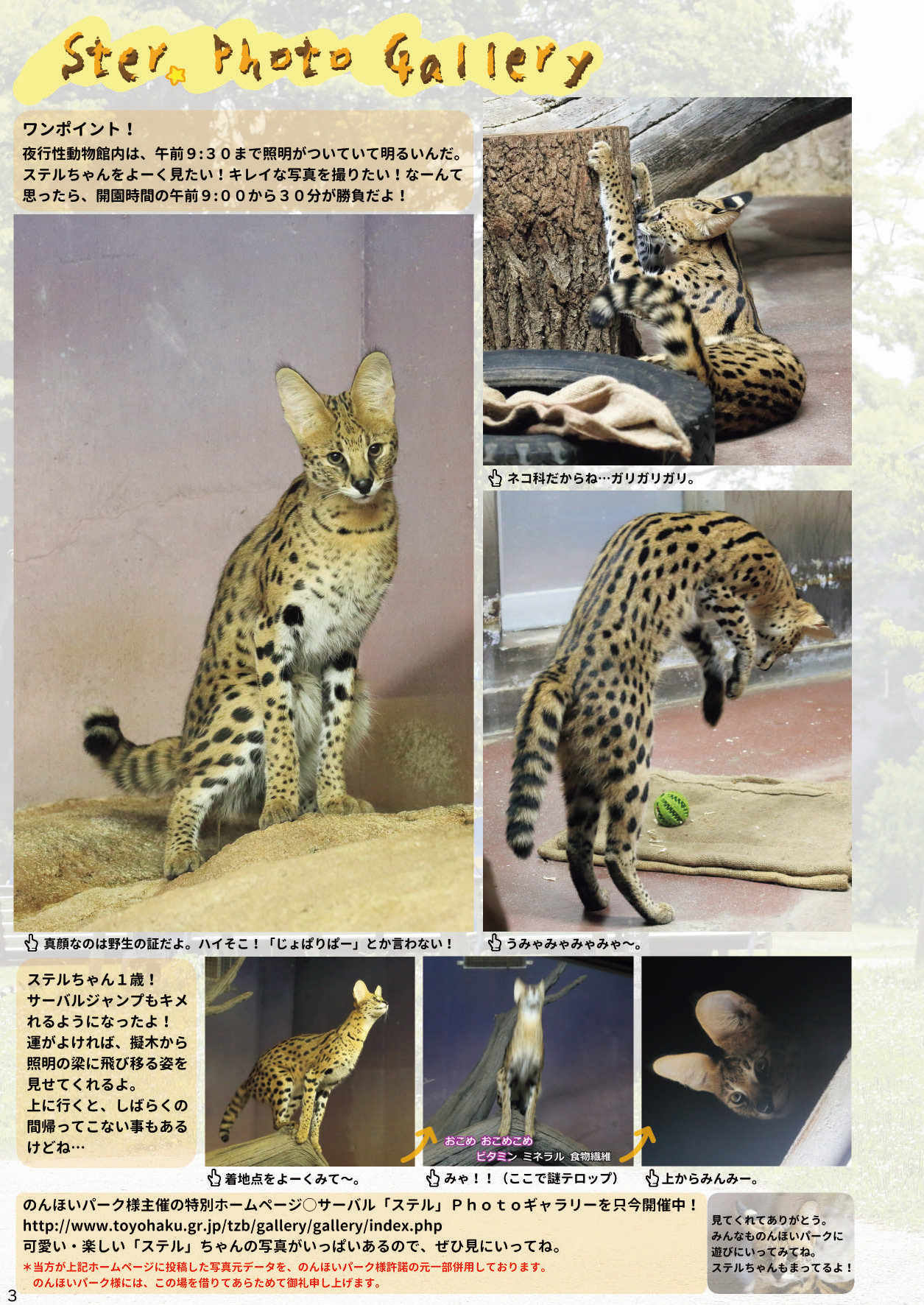 may Kemono Friends Thre Goudoushi page 5 full