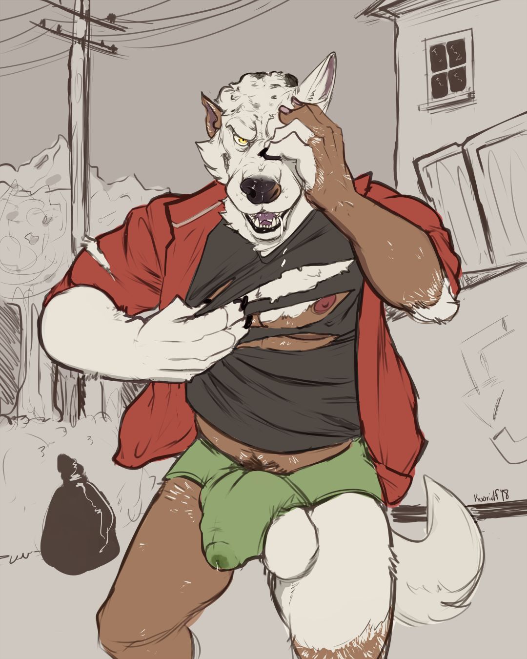 koorivlf 2019 page 2 full