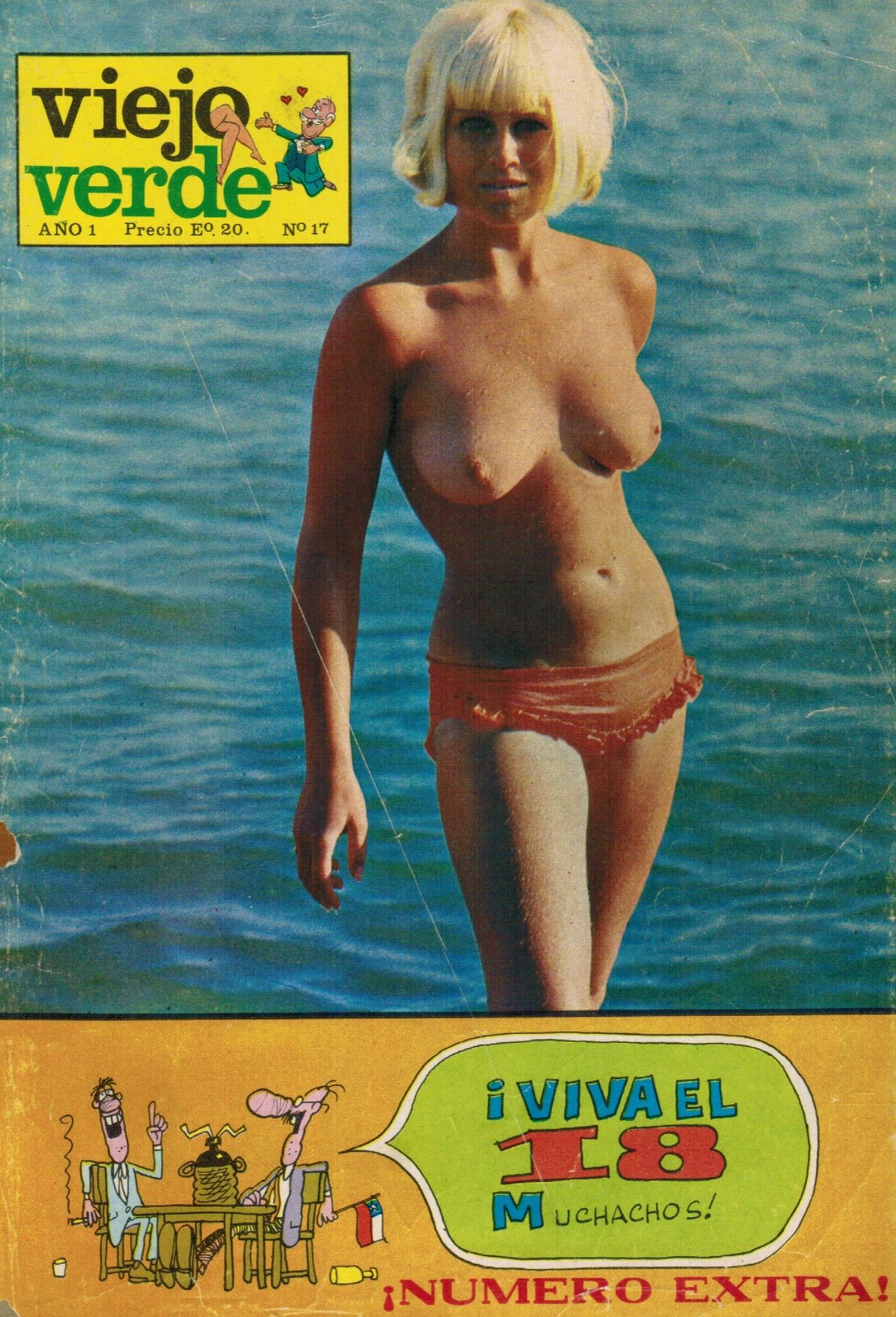 Revista Viejo Verde N°17 page 1 full
