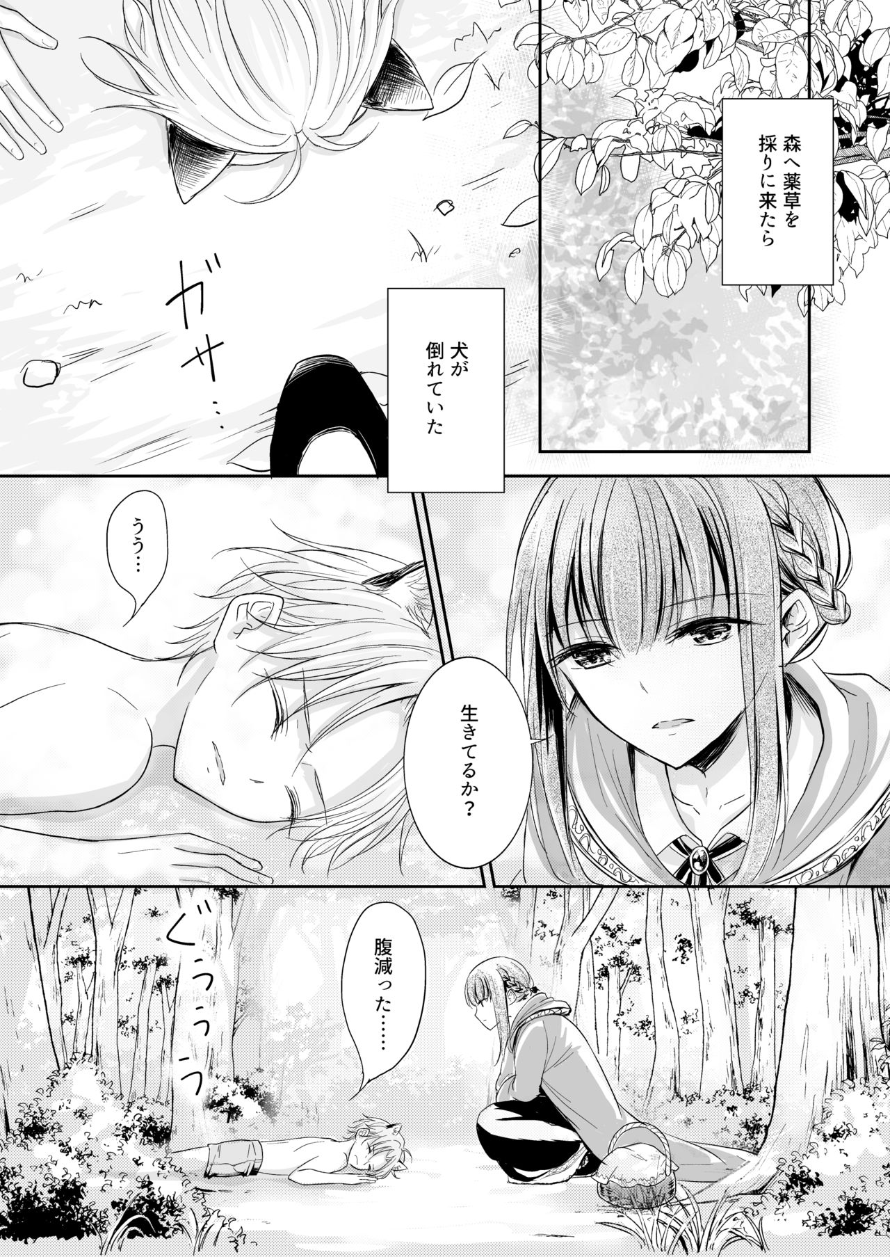 Shitto ~Koinu o Hirotta Majo no Hanashi~ page 3 full