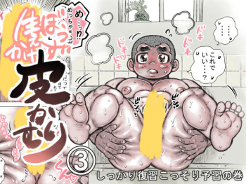 Bouzu hae Kake Kawa Kamuri 3 cover