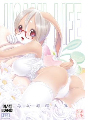 USAMI LIFE cover
