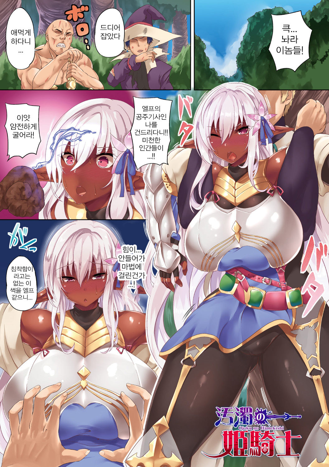 Ojoku no Himekishi | 타락의 공주기사 page 1 full