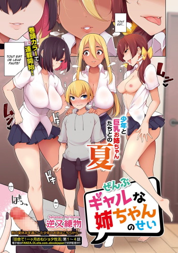 Zenbu Gal na Nee-chan no Sei cover